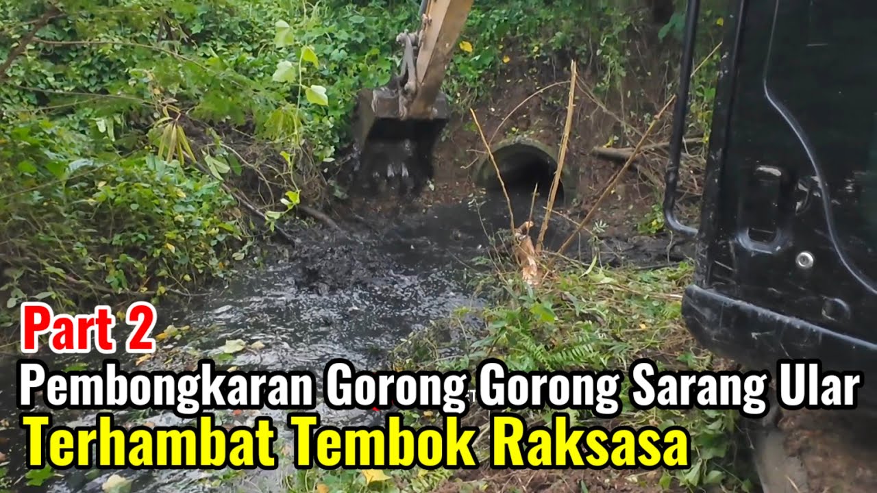 Part 2‼️Pembongkaran Gorong Gorong Sarang Ular Berbisa Terhambat Tembok Raksasa