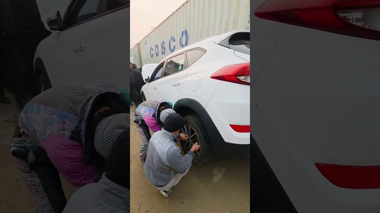 Сари Вагон Чикаловск