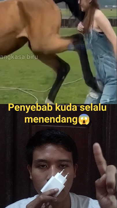 alasan dibalik kuda menendang lawanya😱😱