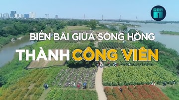 Biến bãi giữa sông Hồng thành công viên: Nhiều người dân mong chờ | VTC1