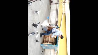 Tarsuslu Kuşçu Kerim Dağlı