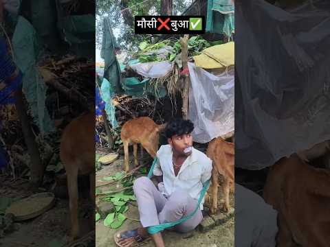 मौसी ❌ बुआ ✅ 😂 | जब रिश्ते में हो जाए कन्फ्यूजन | Comedy Shorts #ytshorts