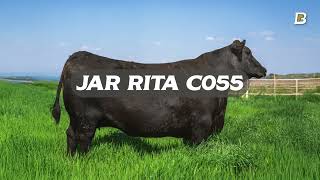 Beutler Cattle Co. | October 21, 2025