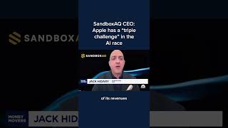 SandboxAQ CEO: Apple has a 'triple challenge' in the AI race