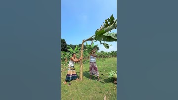 Quick & Easy Banana Cutting: A Must-Watch! ⚡🍌 #banana #fruitcutting #healthy