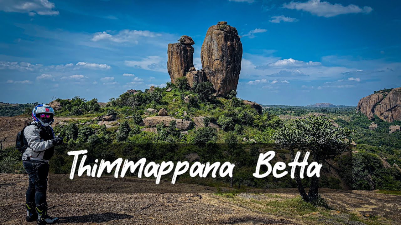 Discovered a love story about Thimmappana Betta