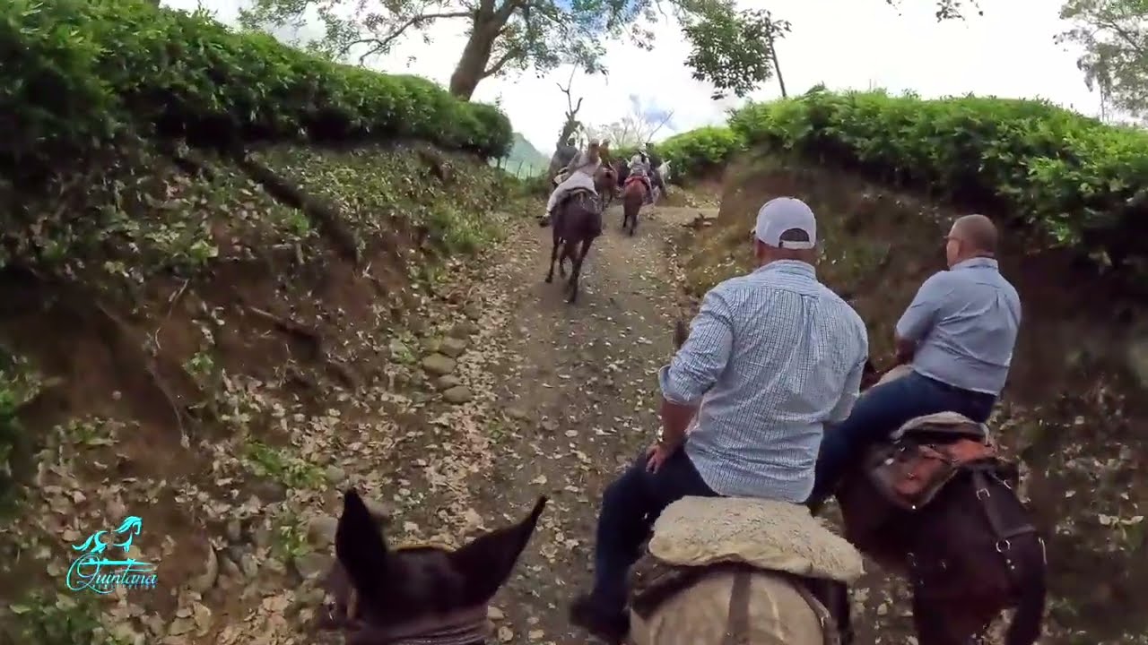 Aventura Cerro Tusa a Caballo