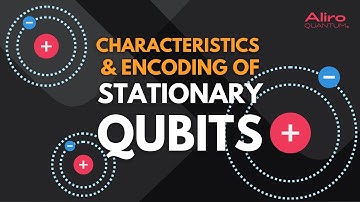 Stationary qubits: characteristics and encoding quantum information