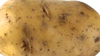 Haters Gonna Hate. Potatoes Gonna Potate.