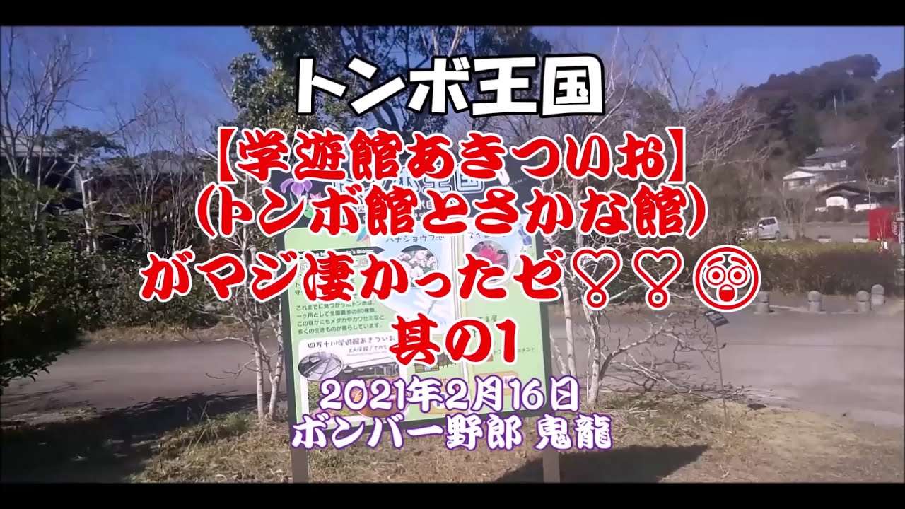 四万十 トンボ王国 学遊館あきついお トンボ館とさかな館 は凄かった Youtube