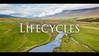 'Lifecycles' - (Official Trailer) by Brothers On The Fly 4,772 views 5 years ago 2 minutes, 37 seconds