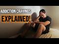 Why You Still Have Cravings After Getting Sober