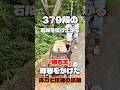 379段の石段を駆け上がる太郎坊チャレンジ