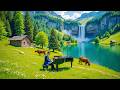 20 beautiful classical music relaxes the soul and heart 🌿 Mozart. Chopin, Tchaikovsky, Bach, Debussy
