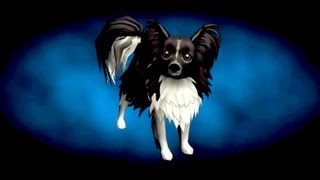 Torchlight II Papillon Pet Reveal