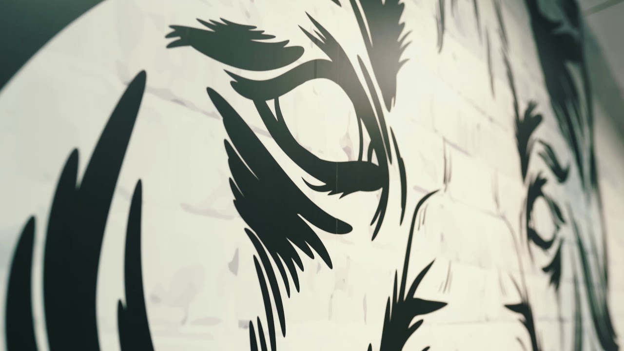 Paddy Holohan's SBG D24