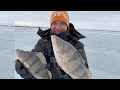 Зимняя рыбалка. Как НЕ поймать окуня