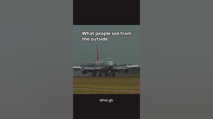 Completely Different Story : PILOT EYES VS PUBLIC EYES ✈️👀 || #trendingshorts #aviator #shortsfeed