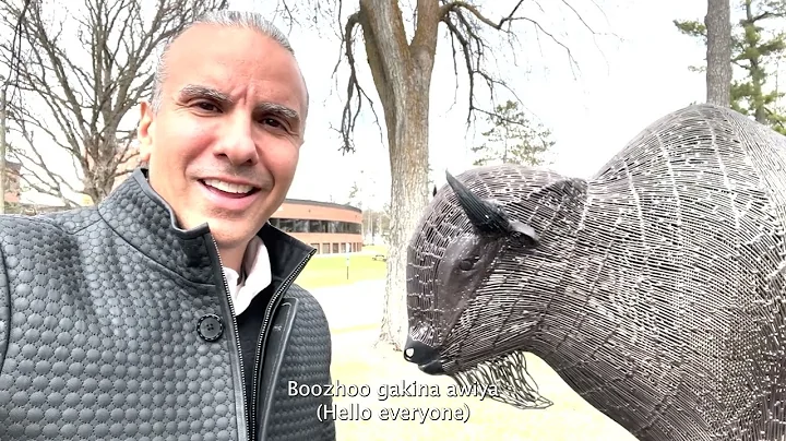 Mashkode-bizhiki = Buffalo (Ojibwe Word of the Day) with Captions