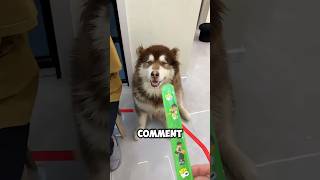 Les Bracelets De Famille Une Surprise Pleine Damour