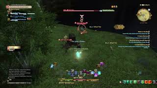 Final Fantasy XIV A Realm Reborn - What's in the Box - Arcanist Level 5 Quest