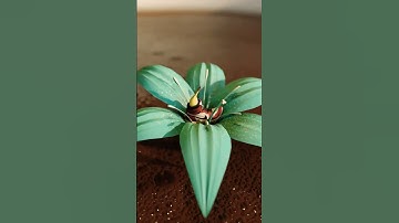 Infinity loop ♾️ #loop #blender #3d #blender3d #animation #animation3d #jordan #blenderanimation