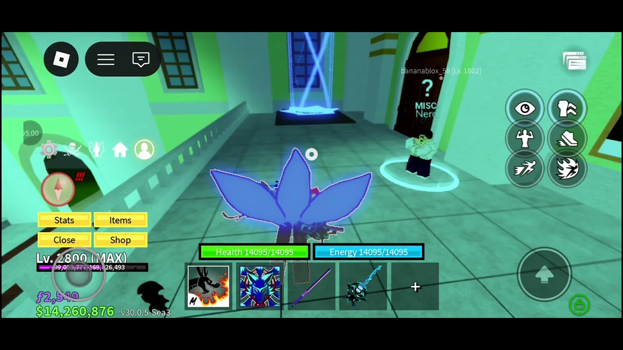 Blox fruits account showcase.