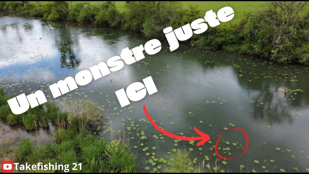 Ouverture Brochet : Attaque Violente en Rivière Sauvage !!