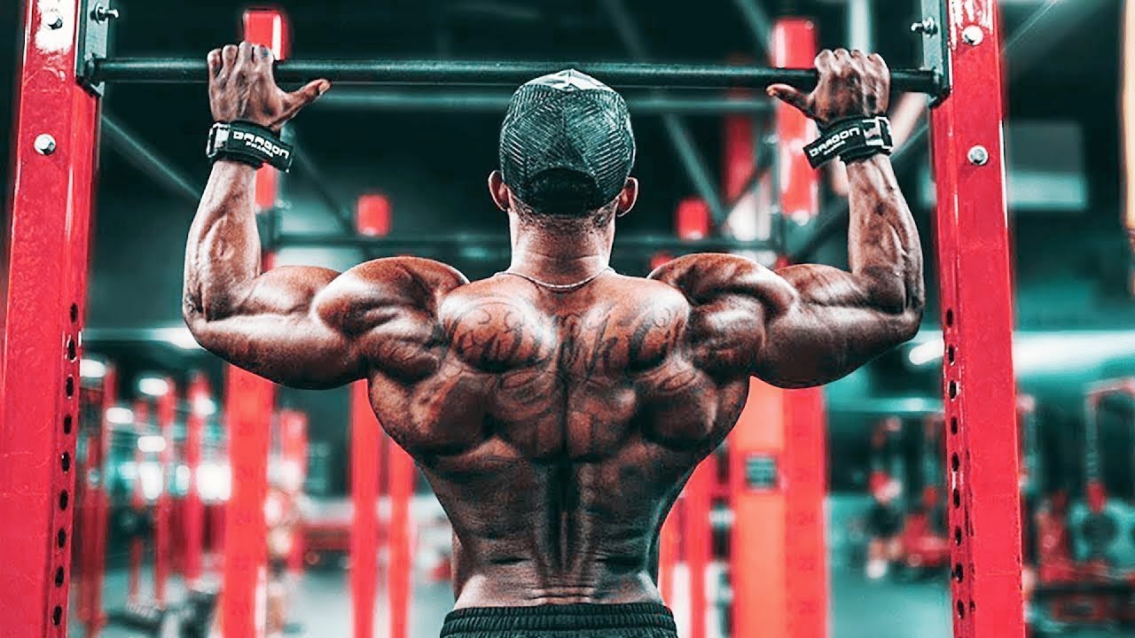 Best Workout Music Mix 2021 🔋 EDM Workout Motivation Mix 🔋 Gym