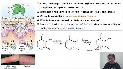 DABT Topic_Principles of Toxicology_ Klassen_Chapter 2_Questions 1 to 5