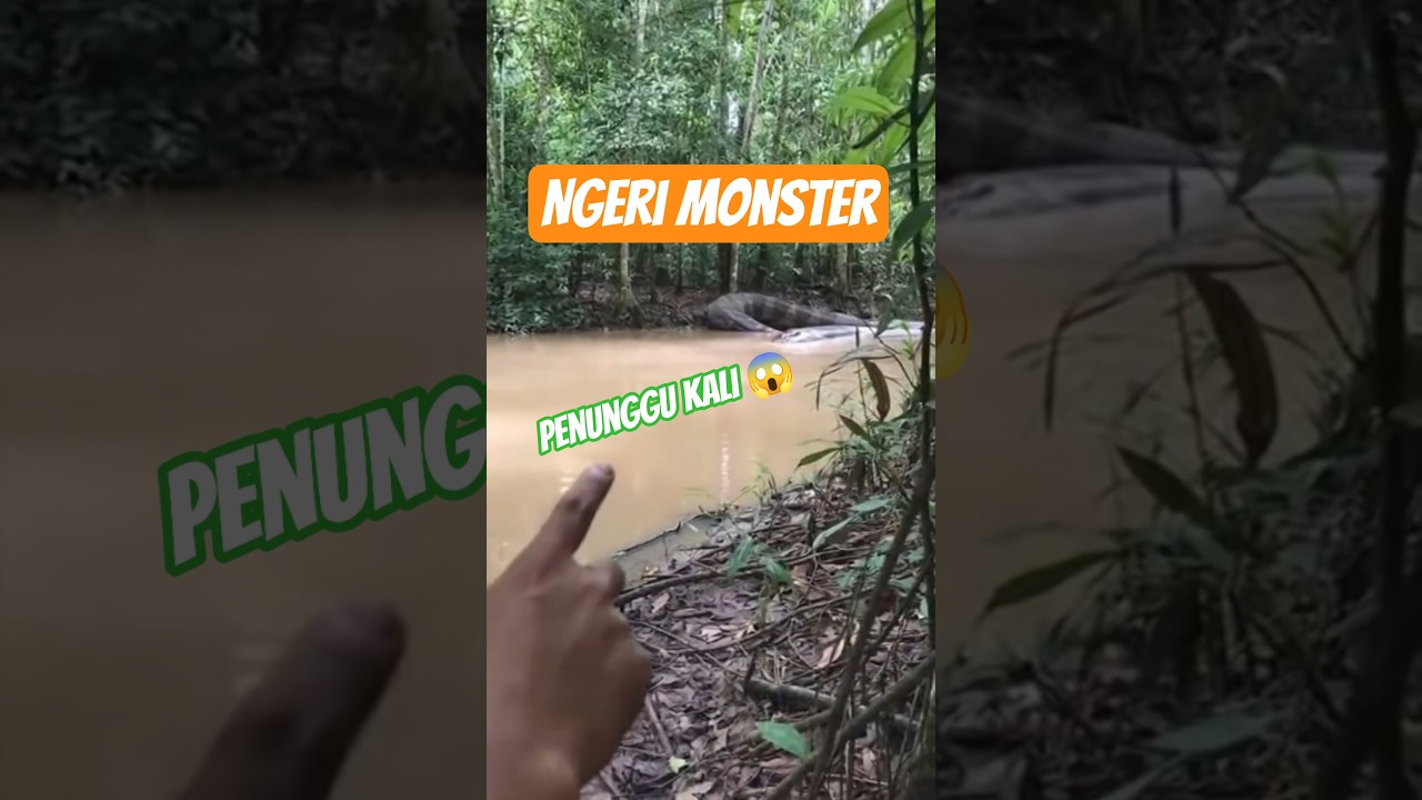 Penampakan Anaconda Monster 😱😱😱😱 #fishing #fishing #mancing