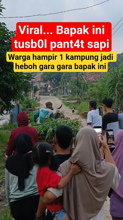 warga gempar melihat bapak ini tudb0l pant4t sapi