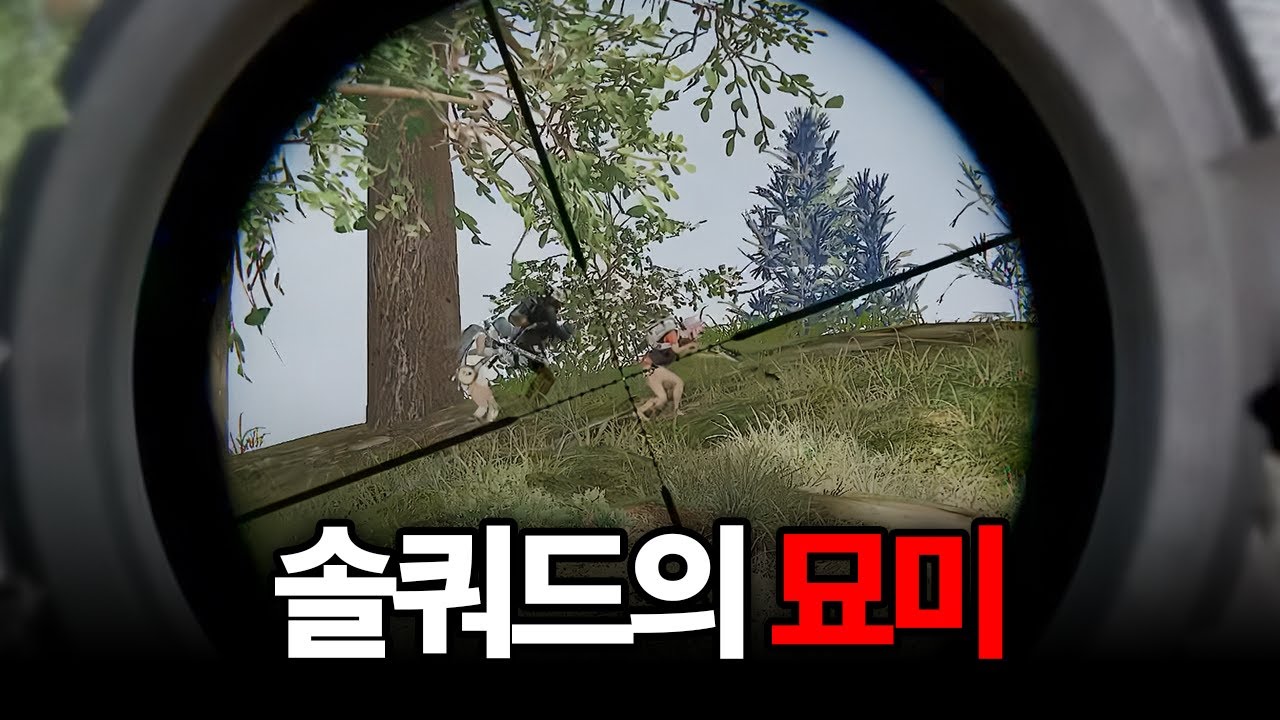 솔쿼드를 하면 실력이 느는 이유