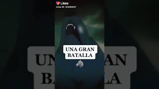 Que lobo vas alimentar
