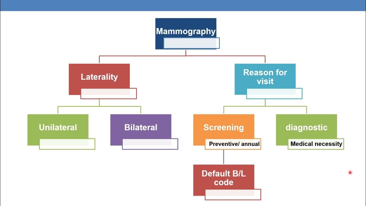Cpt coding guidelines for radiology part 1 youtube