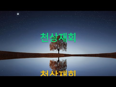 천상재회( 최진희)