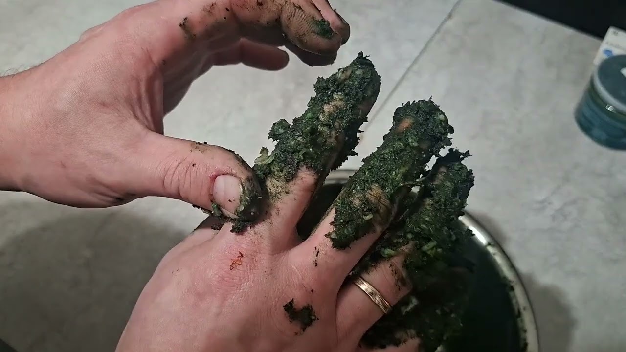 Корм своими руками , для цехлид и мирных рыб 