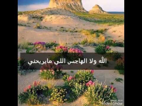 الله ولا الهاجس كلمات تركي الميزاني اداء هتاش حمود الشراري 