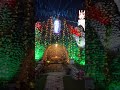 GROTTO AT IMMACULATE HEART CHURCH, KARNAL.