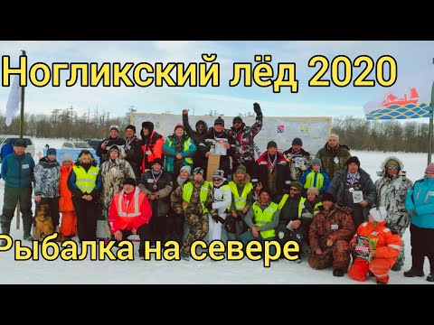 Поездка на север.
