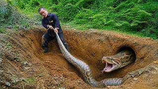 Dwarf Family The Giant Python & Got Caught in a Trap and Set Fish Traps to Survive | Survival Life