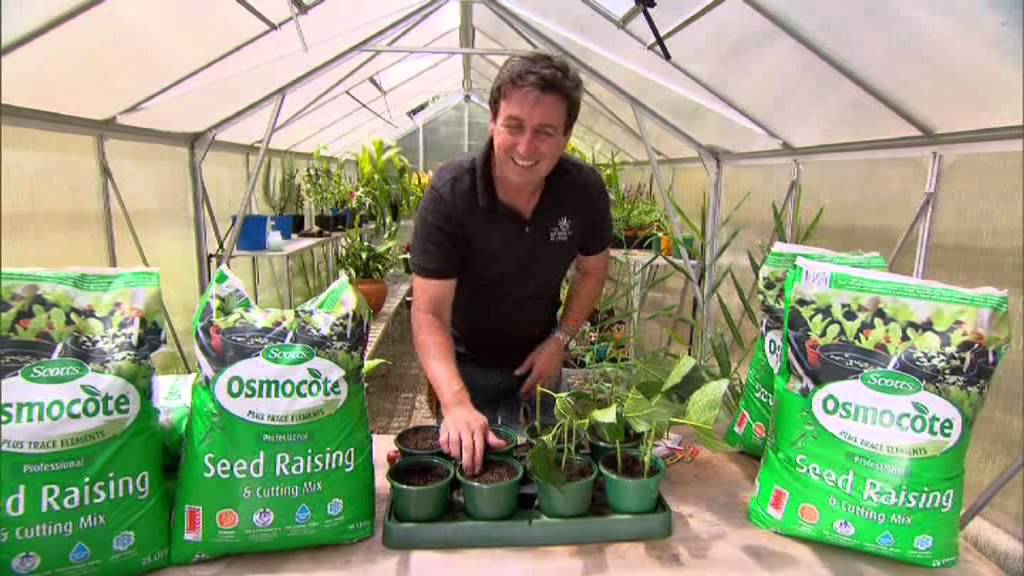 Grow your own plants from scratch using Osmocote Professional Seed
