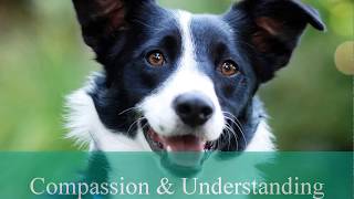 The Law Office of Jeffery L. Heath - Orange County Family Law Lawyer - DUI Lawyer