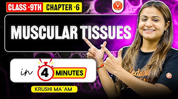 📚 Muscular Tissue Explained Under 5 Mins | Class 9 Biology | CBSE 2025-26