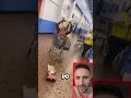 AFRO JESTERING AT WALMART