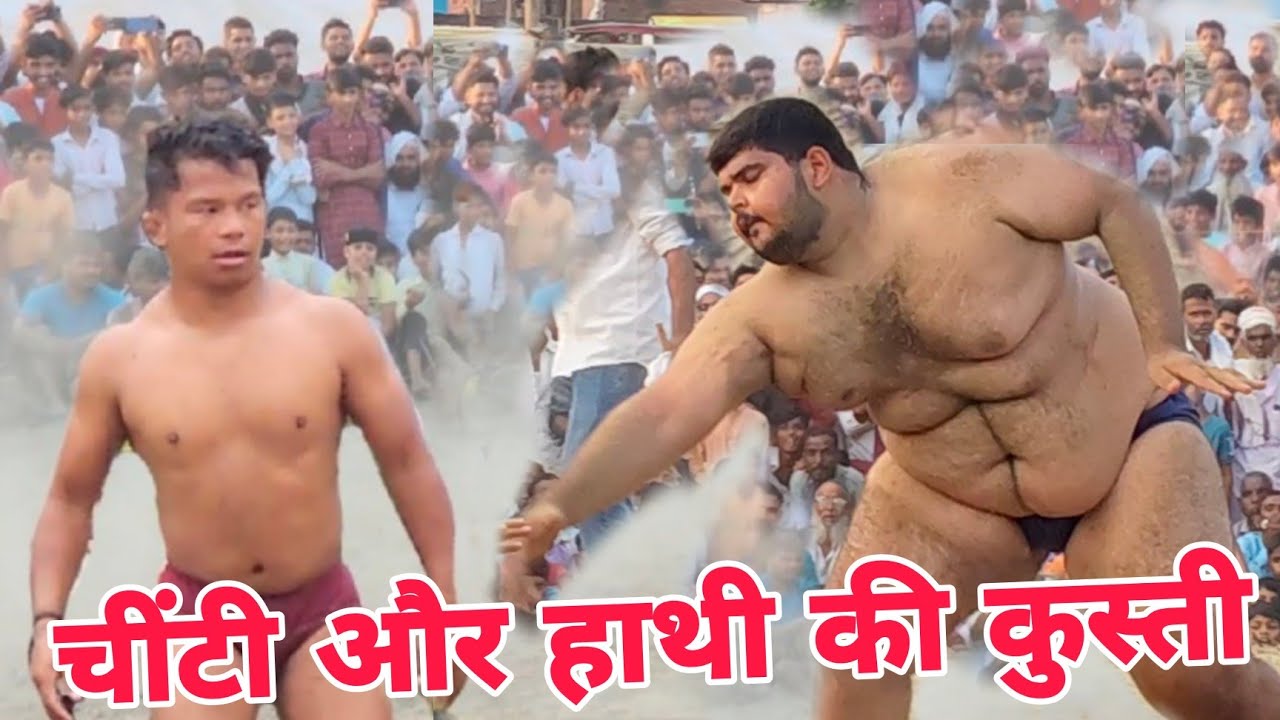 हाथी और चींटी की कुस्ती fakeer baba dangal kusti nwabganj haathi vs fakeer babba