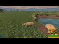 Playing as a leopard in savannah life