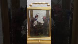 IMG 6042 IMG 6042