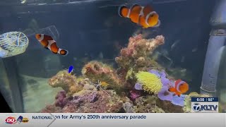 Longview museum celebrates nautical history