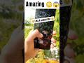 amazing 😱😳 #shotsfeed #photography #viral #shortvideo #samsungs24ultra #op #iphone #shorts #amazing